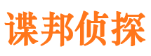 大通市私家侦探